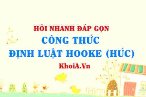 Công thức định luật Húc (HOOKE) lớp 10?
